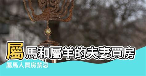 穿心颱影響 屬馬今年適合買房嗎